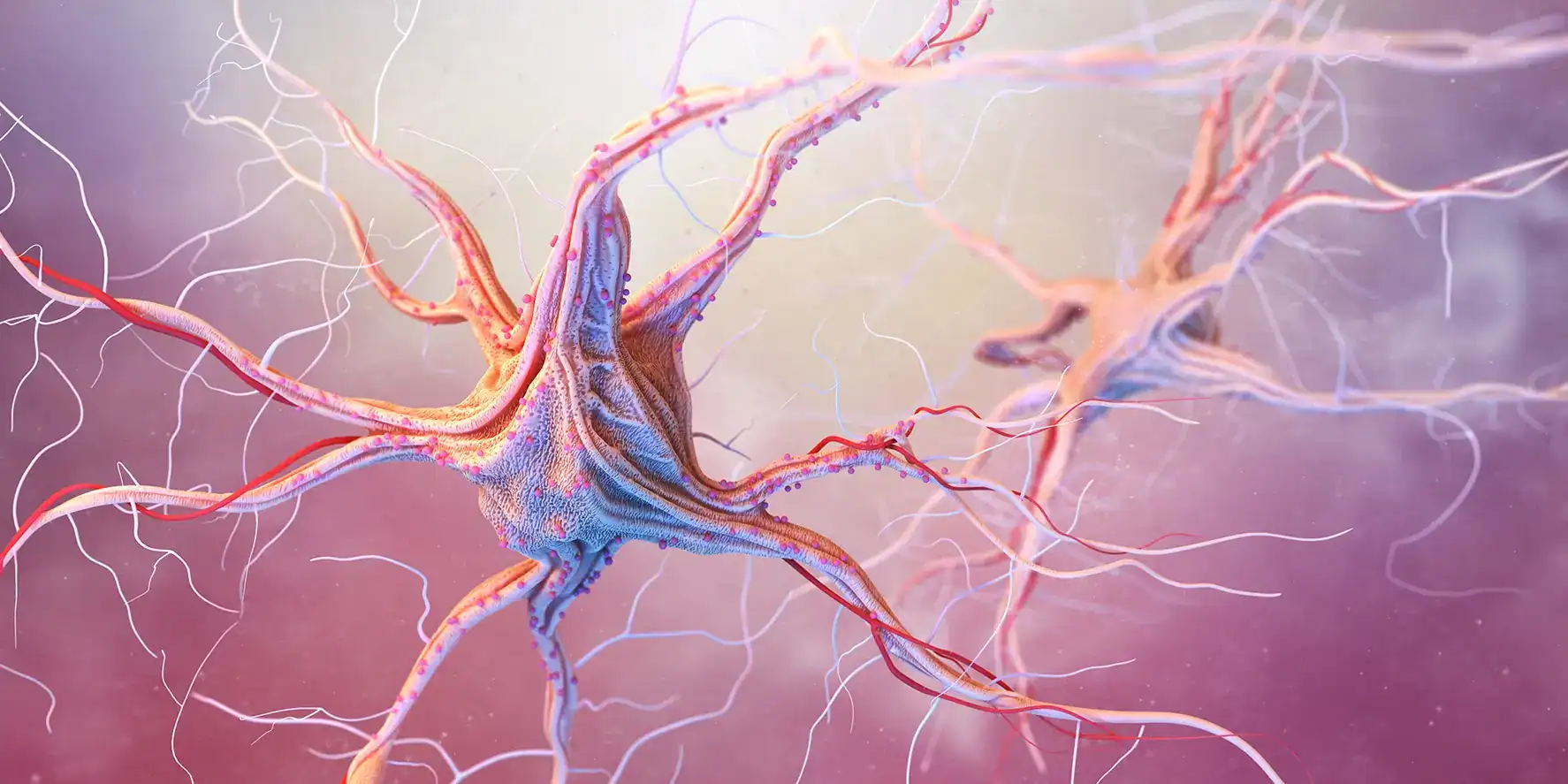 Multiple Sclerosis Stem Cells