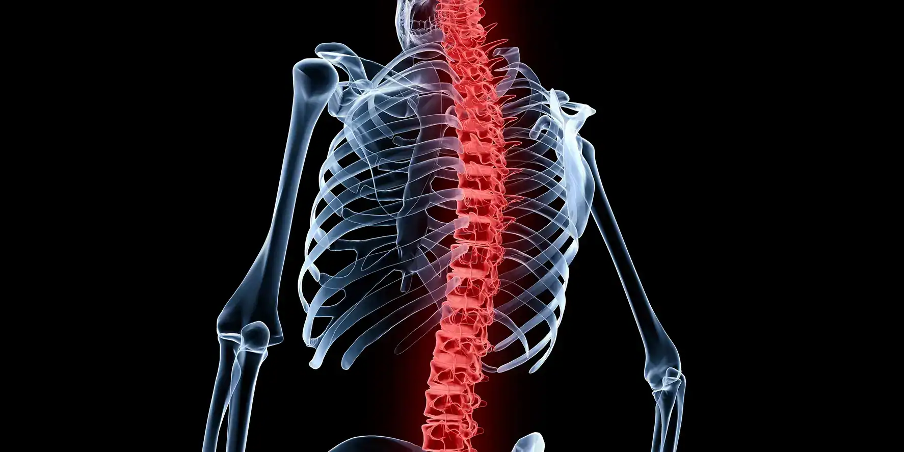 Spinal Cord Injury Stem Cells