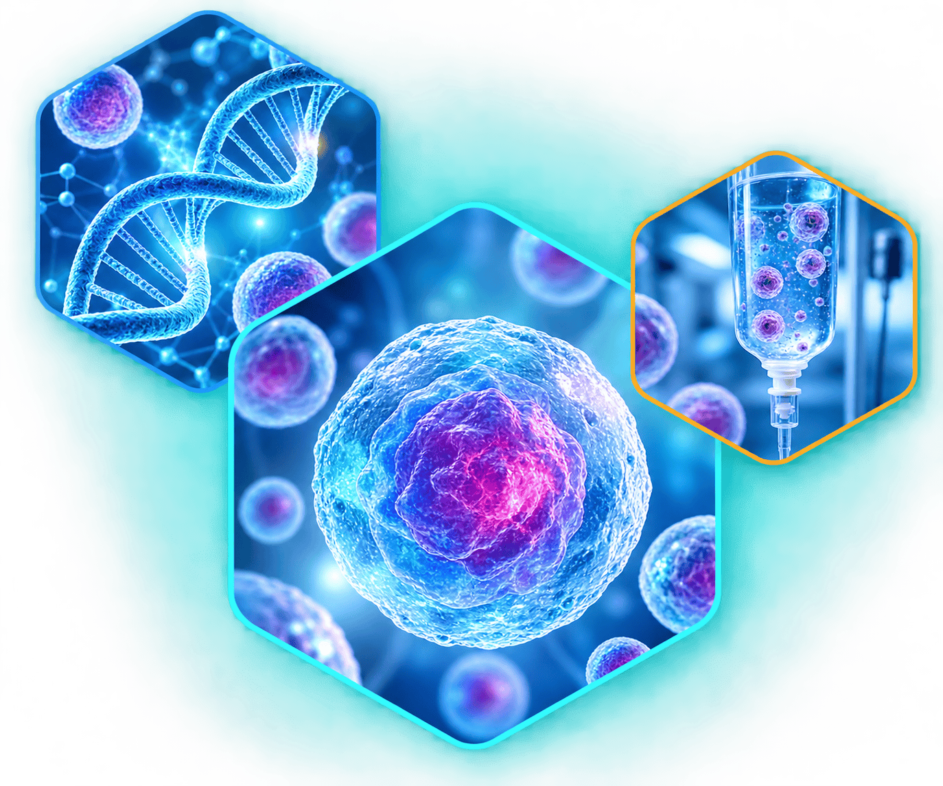 Stem Cells Regenerative Medicine