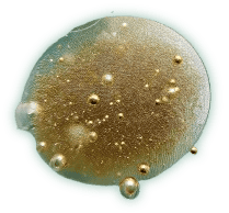 Stem cell Advisor